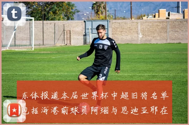 东体报道本届世界杯中超旧将名单包括海港前球员阿瑙与恩迪亚耶在内的10位球员